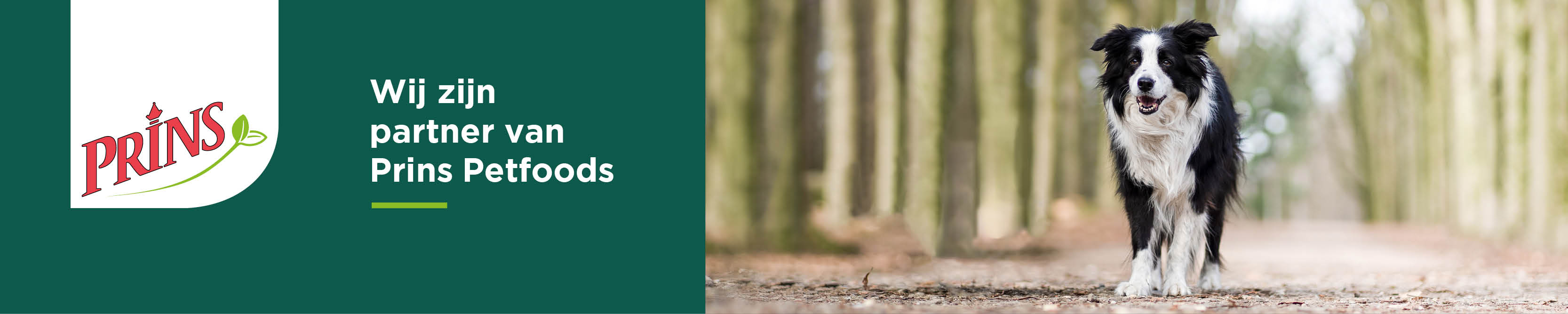 Banner Website  PARTNER VAN PRINS 1640x856px 1